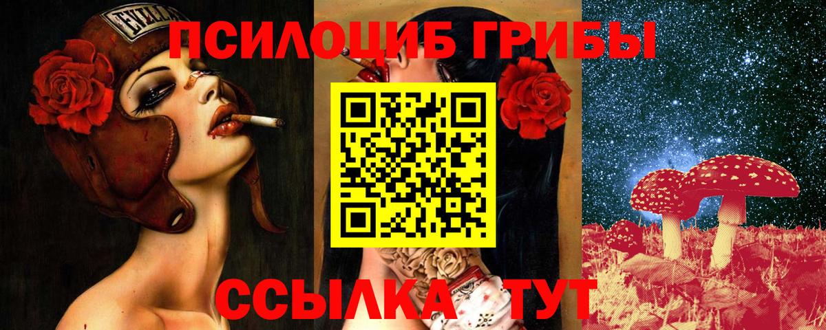 Ессентуки  Галлюциногенные грибы Cubensis  Псилоцибиновые грибы мицелий  Вход с VPN 